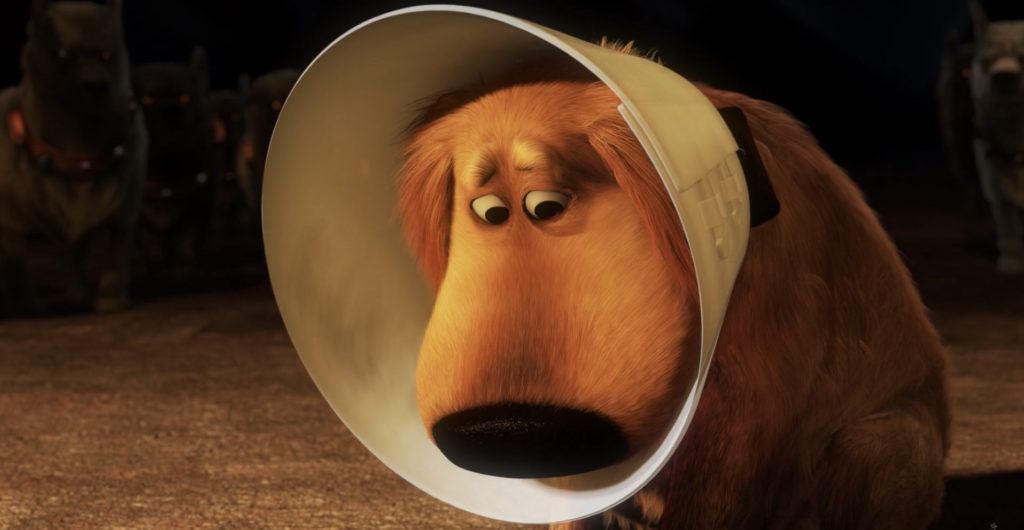rinrinworld-disney-pixar-up-ปู่ซ่าบ้าพลัง-ปู่อัพ-15