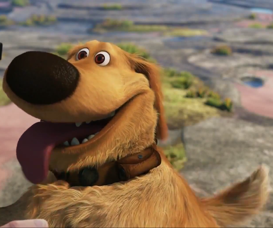 rinrinworld-disney-pixar-up-ปู่ซ่าบ้าพลัง-ปู่อัพ-Dug