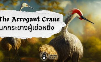 นิทานอีสป นกกระยางผู้เย่อหยิ่ง The Arrogant Crane