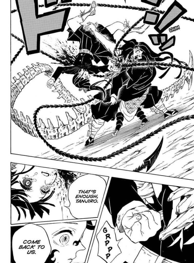 kimetsu-no-yaiba-ดาบพิฆาตอสูร-rinrinworld