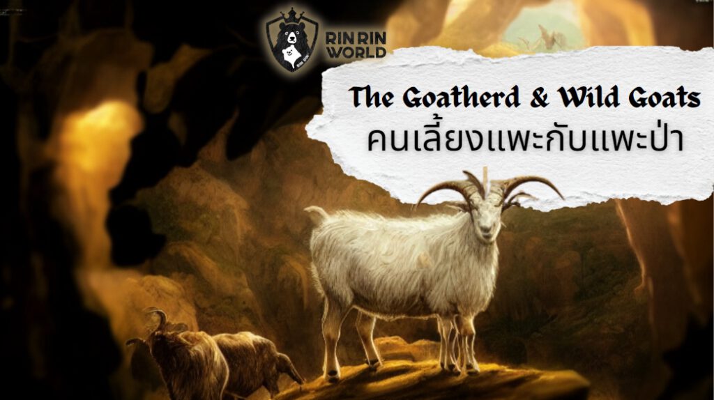 นิทานอีสป คนเลี้ยงแพะกับแพะป่า The Goatherd and the Wild Goats